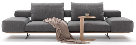 Hoog - ODM van Sofa Ergonomic Living Room Furniture van het dichtheidsschuim Super Comfortabele Sectionele