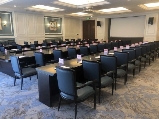 vijfsterren de Douaneeettafel Vastgestelde Wearproof Waterdicht Aangepast Sofa Set van het Hotel Internationale Hotel