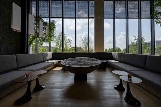 Afscheidingsbestendige appartementenmeubels op maat Sofa en stoelen