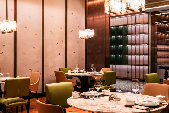 Vernis Finished Hotel Restaurant Meubels met verschillende vormen en moderne stijl